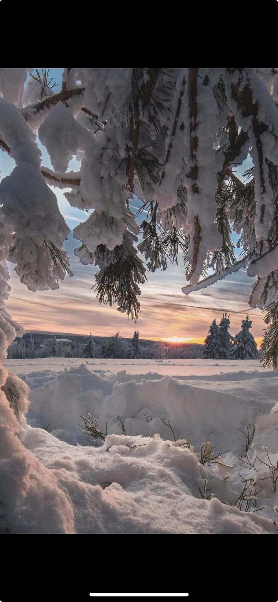 Haus Konthe, Appartement Winterberg Exteriér fotografie